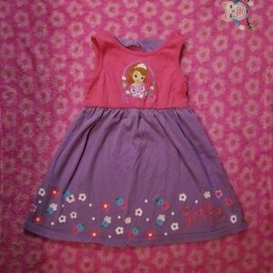 Sofia the First Dress